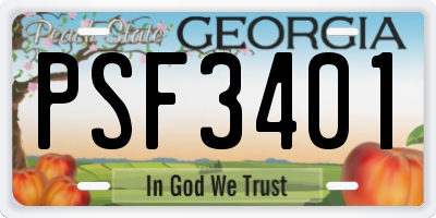 GA license plate PSF3401