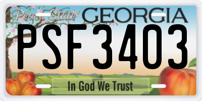GA license plate PSF3403