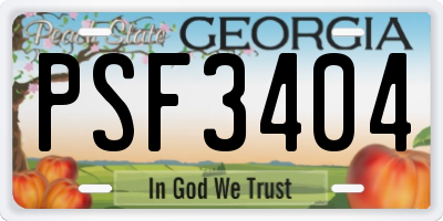 GA license plate PSF3404