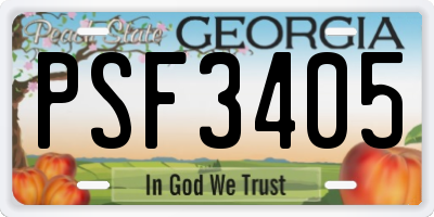 GA license plate PSF3405
