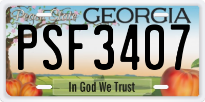 GA license plate PSF3407
