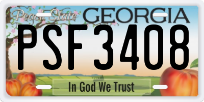GA license plate PSF3408
