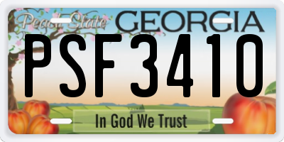 GA license plate PSF3410