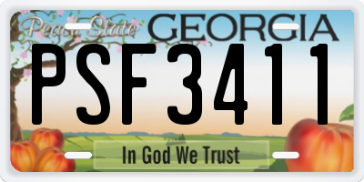 GA license plate PSF3411
