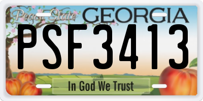 GA license plate PSF3413