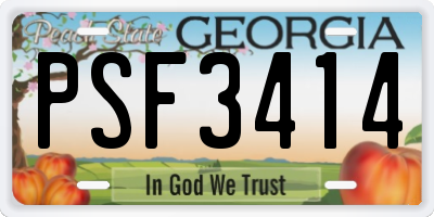GA license plate PSF3414