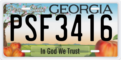GA license plate PSF3416