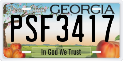 GA license plate PSF3417