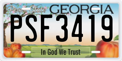 GA license plate PSF3419