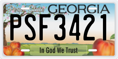 GA license plate PSF3421
