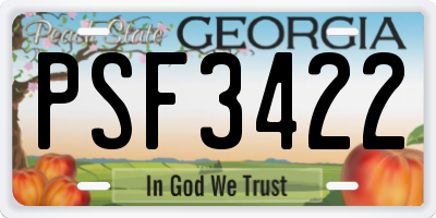 GA license plate PSF3422