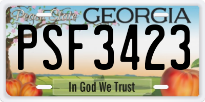 GA license plate PSF3423