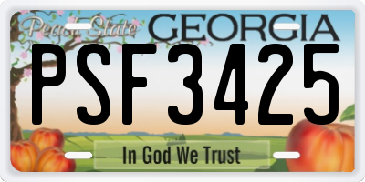 GA license plate PSF3425