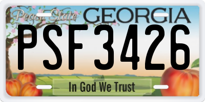 GA license plate PSF3426