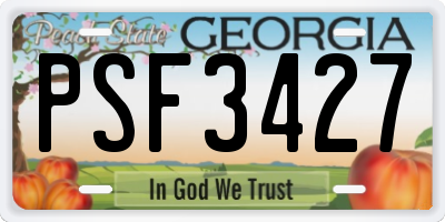 GA license plate PSF3427