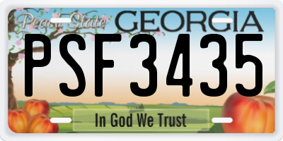 GA license plate PSF3435
