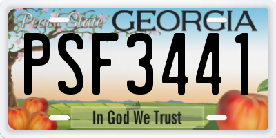 GA license plate PSF3441
