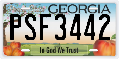 GA license plate PSF3442