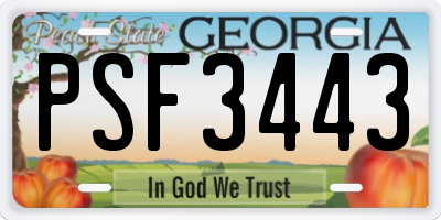GA license plate PSF3443