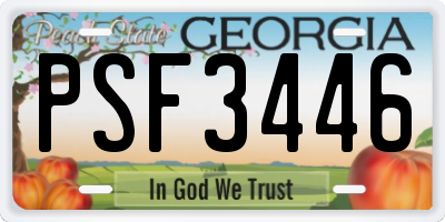 GA license plate PSF3446