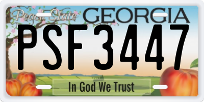 GA license plate PSF3447