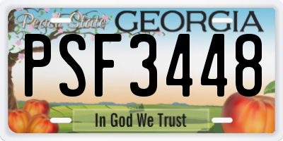 GA license plate PSF3448