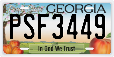 GA license plate PSF3449