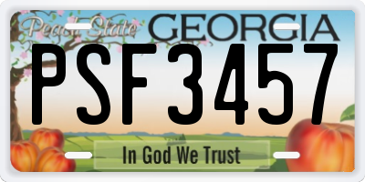 GA license plate PSF3457