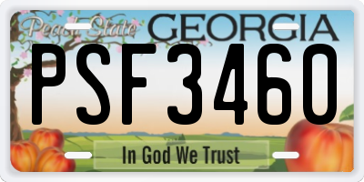 GA license plate PSF3460