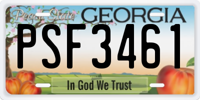 GA license plate PSF3461