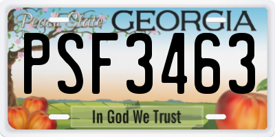 GA license plate PSF3463