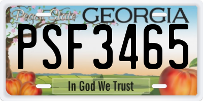 GA license plate PSF3465