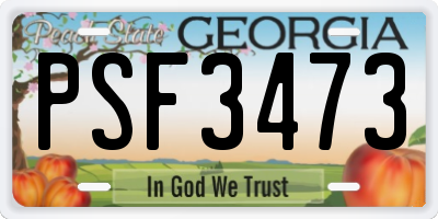 GA license plate PSF3473