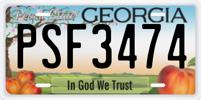 GA license plate PSF3474