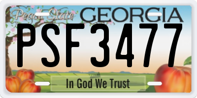 GA license plate PSF3477