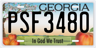 GA license plate PSF3480