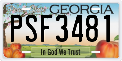 GA license plate PSF3481