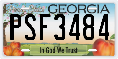 GA license plate PSF3484