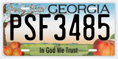 GA license plate PSF3485