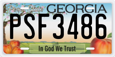 GA license plate PSF3486