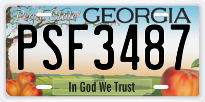 GA license plate PSF3487