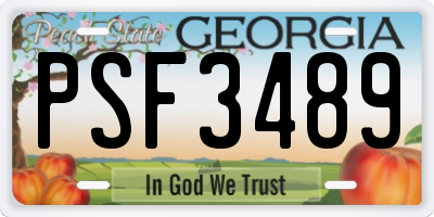 GA license plate PSF3489