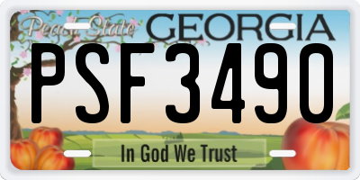 GA license plate PSF3490