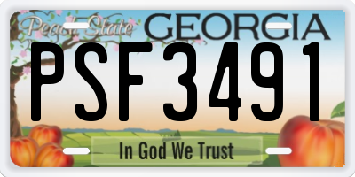 GA license plate PSF3491