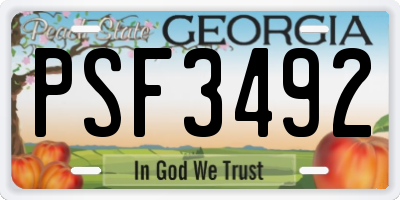 GA license plate PSF3492
