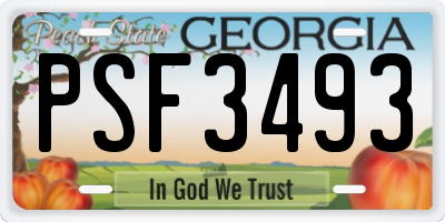 GA license plate PSF3493