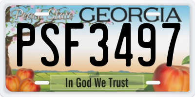 GA license plate PSF3497