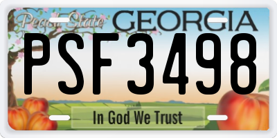 GA license plate PSF3498
