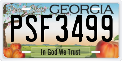 GA license plate PSF3499
