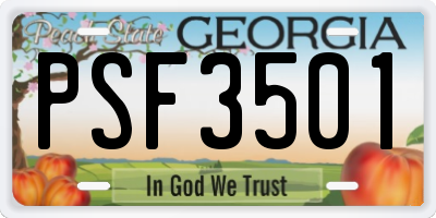GA license plate PSF3501